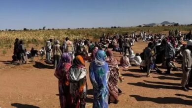 السودان.. وصول مئات النازحين من الفاشر إلى منطقة الدبة