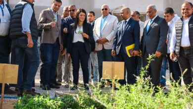 وزيرة التخطيط: تنمية سيناء تحظى بأولوية كبيرة لدى الدولة