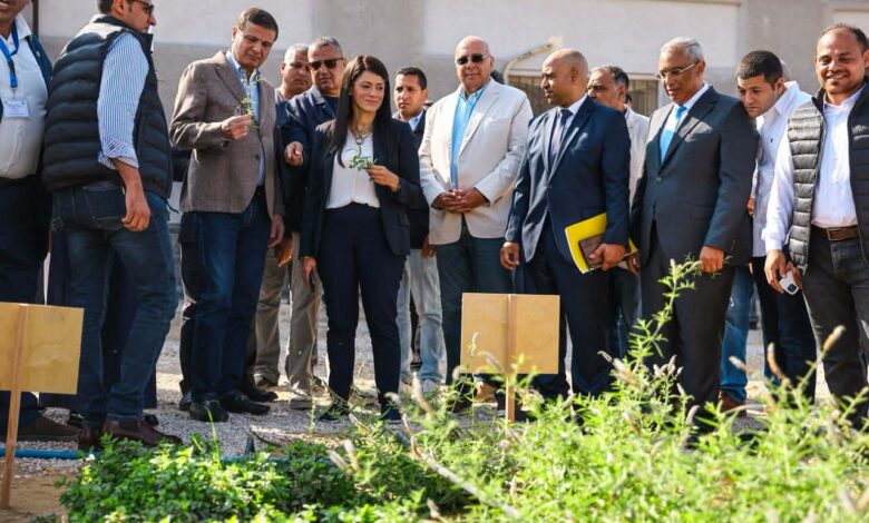 وزيرة التخطيط: تنمية سيناء تحظى بأولوية كبيرة لدى الدولة