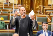 النائب فتحي قنديل