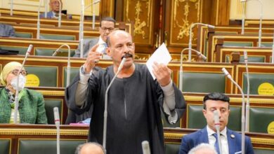 النائب فتحي قنديل