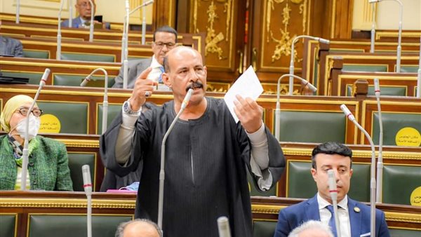 النائب فتحي قنديل