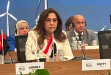 القائم بأعمال وزير البيئة: مصر تستهدف الوصول إلى 42% من الكهرباء النظيفة بحلول 2030