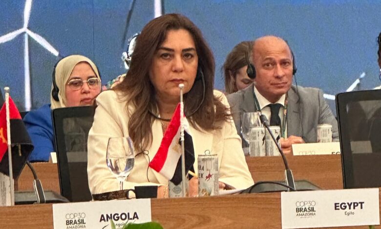 القائم بأعمال وزير البيئة: مصر تستهدف الوصول إلى 42% من الكهرباء النظيفة بحلول 2030
