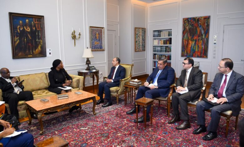 وزير الخارجية يؤكد الحرص على توسيع الشراكات الاستثمارية بين مصر وجنوب أفريقيا