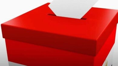 بدء تصويت المصريين في الخارج بـ30 دائرة ملغاة بقرارات القضاء في انتخابات مجلس النواب