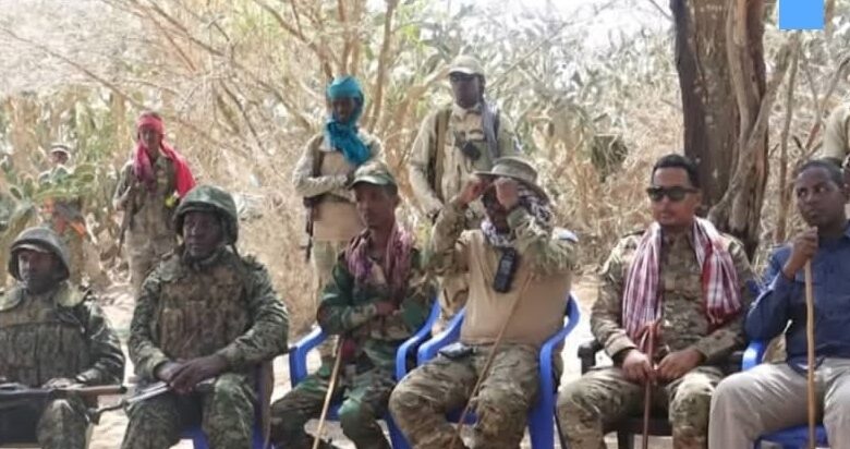 تفقد ميداني لدعم القوات وتأمين المناطق المحررة بشبيلي السفلى