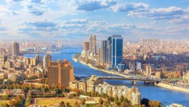 "بي إم أي" تراهن بقوة على انتعاش الاقتصاد المصري خلال 2026