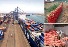 صادرات الغذاء المصرية تسجل 220 ألف طن خلال أسبوع.. السعودية والسودان في الصدارة