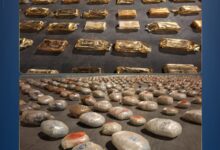 الداخلية تضبط طنا ونصف من المخدرات بـ 100 مليون جنيه في الإسماعيلية