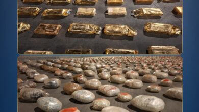 الداخلية تضبط طنا ونصف من المخدرات بـ 100 مليون جنيه في الإسماعيلية