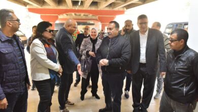 محافظ أسيوط يتفقد معرض وبازار "كيان" بحي غرب