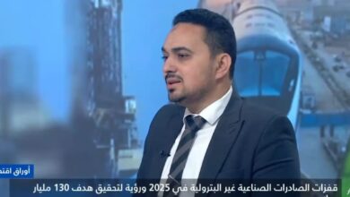 عضو غرفة الصناعات الهندسية يشيد بتوجه الدولة لتوطين صناعة السيارات الكهربائية