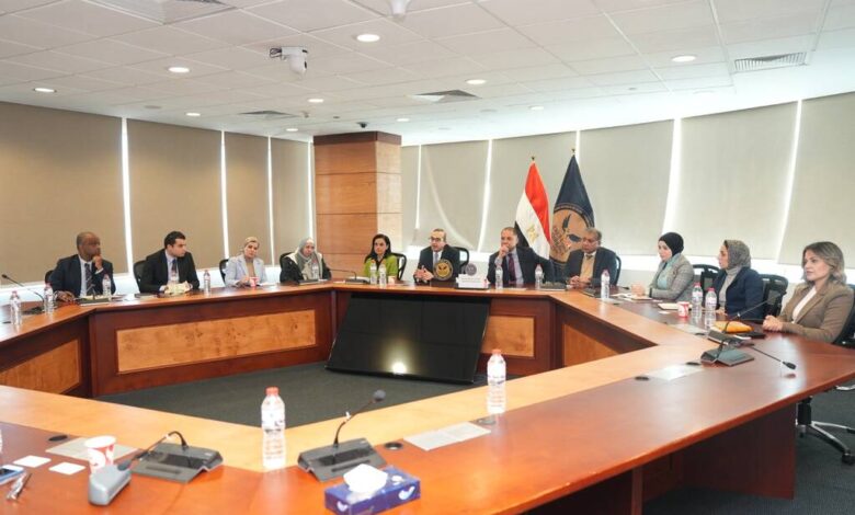 الرقابة المالية والبنك المركزي يناقشان تعزيز الشمول المالي ودعم تمويل المشروعات