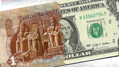 سعر الدولار مقابل الجنيه المصري في 11 بنكاً مع نهاية تعاملات الاثنين