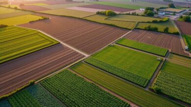 نقيب الزراعيين: «مستقبل مصر» أدخل 3 ملايين فدان للإنتاج وعزز الأمن الغذائي