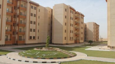 مي عبد الحميد: دعم يتجاوز 50% وتسليم 10 آلاف وحدة شهريًا