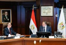 محافظ المركزي المصري ووزير التخطيط يبحثان تنسيق السياسات لدعم استقرار الاقتصاد