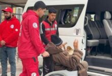 من رفح إلى غزة.. عودة جديدة تحت مظلة وقف النار والدعم الإنساني المصري