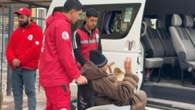 من رفح إلى غزة.. عودة جديدة تحت مظلة وقف النار والدعم الإنساني المصري