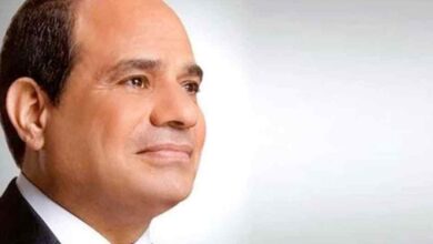 الرئيس السيسي يرحب بتصريحات الرئيس تبون ويؤكد عمق العلاقات التاريخية بين مصر والجزائر