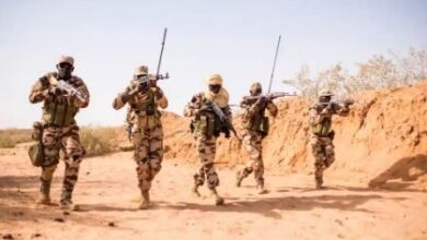 النيجر تُحبط هجوماً إرهابياً غرب البلاد وتُحيّد نحو 20 مسلحاً