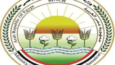 «الزراعة» تعلن فتح باب الحجز للمشاركة في معرض زهور الربيع 2026