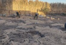 محافظ أسيوط يعلن إزالة 14 حالة تعدي خلال المرحلة الأولى من الموجة الـ 28