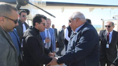 محافظ الوادي الجديد