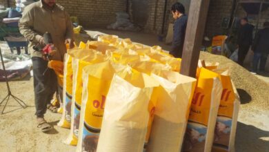 محافظ أسيوط: ضبط مصنع غير مرخص لتعبئة الأعلاف الحيوانية بعرب العوامر