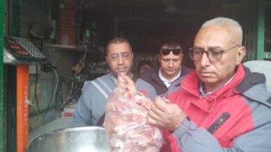 بيطري المنيا: ضبط أكثر من 3 أطنان لحوم غير صالحة ومذبوحة خارج المجازر خلال أسبوعين
