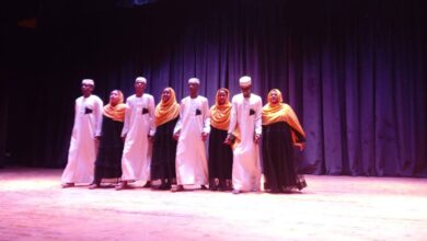 تنوع ثقافي وعروض عالمية في رابع أيام مهرجان أسوان الدولي للثقافة والفنون