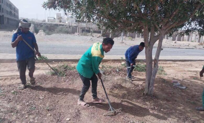 مرسى علم تتجمل.. قص وتهذيب الأشجار وتطوير الممشى السياحي