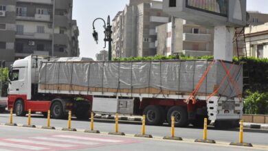 محافظة أسيوط تستعد لرمضان بتوزيع 950 كرتونة مواد غذائية على الأسر الأكثر احتياجًا