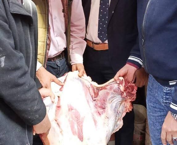 تموين المنيا: تحرير 205 مخالفات وضبط سلع مدعمة قبل تسريبها للسوق السوداء