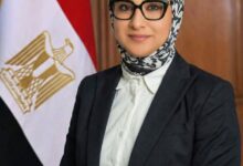 محافظ الوادي الجديد توجه بحظر نشر لافتات التهنئة بالميادين والشوارع 