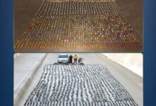 الداخلية تُحبط ترويج 3.5 طن حشيش وهيدرو بقيمة 240 مليون جنيه