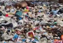 أبو صير تعاني من أكوام القمامة والروائح الكريهة بالجيزة