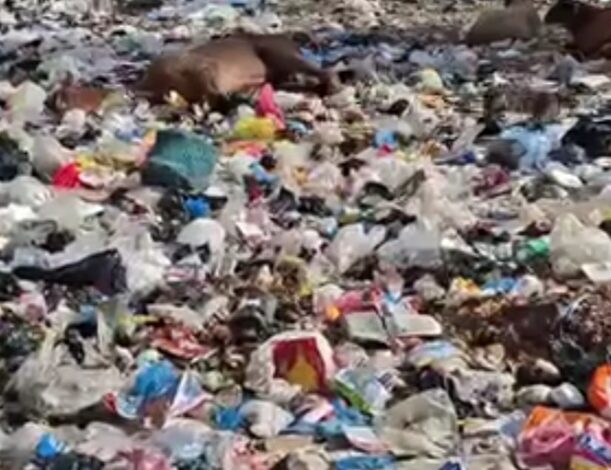 أبو صير تعاني من أكوام القمامة والروائح الكريهة بالجيزة