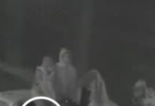 ضبط تشكيل عصابي تخصص في سرقة الدراجات النارية بـ«ربع نقل» في الغربية