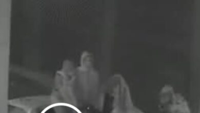 ضبط تشكيل عصابي تخصص في سرقة الدراجات النارية بـ«ربع نقل» في الغربية