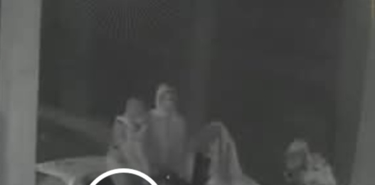 ضبط تشكيل عصابي تخصص في سرقة الدراجات النارية بـ«ربع نقل» في الغربية