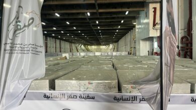 الإمارات تواصل دعم غزة: وصول سفينة «صقر» إلى ميناء العريش