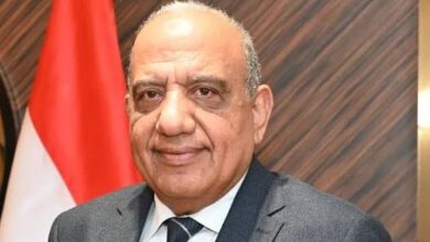 الدكتور محمود عصمت وزير الكهرباء