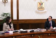 رئيس الوزراء يستعرض مع وزيرة الثقافة محاور العمل خلال المرحلة المقبلة