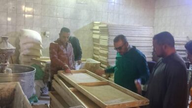 تموين المنيا: ضبط 3304 مخالفات خلال حملات رقابية فبراير الماضى 