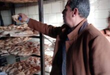 محافظ المنيا :تحرير 174 مخالفة تموينية خلال حملات على المخابز والأسواق