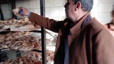 محافظ المنيا :تحرير 174 مخالفة تموينية خلال حملات على المخابز والأسواق