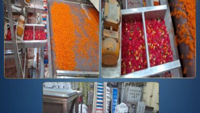 ضبط مصنع مقرمشات غير مرخص بأكتوبر بحوزته أكثر من 26 طن مواد غذائية مجهولة المصدر