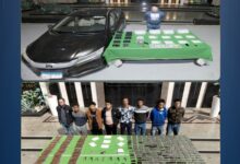 ضبط 600 كيلو مخدرات و161 سلاحًا بعدة محافظات